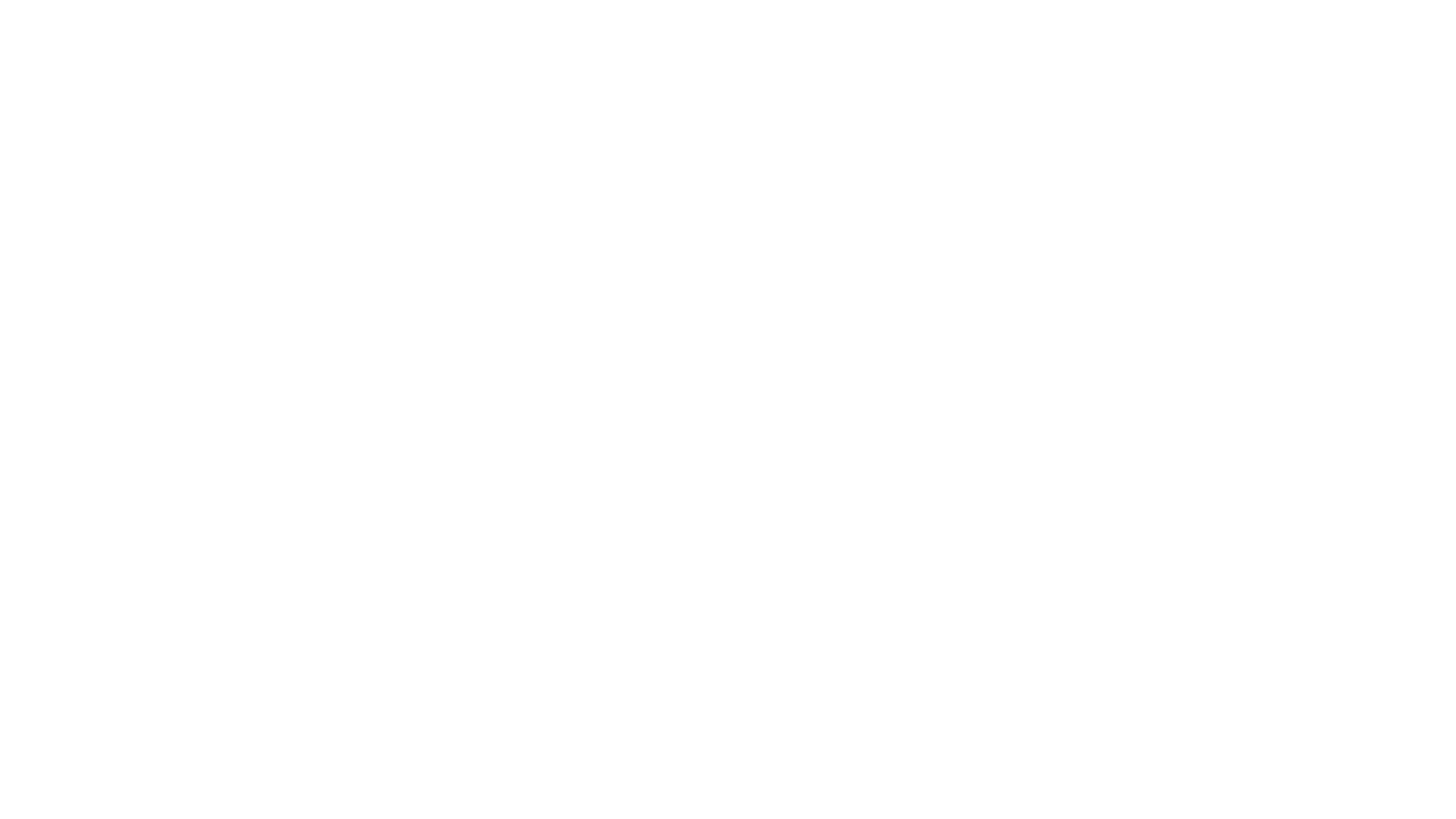 logo 305 detailing miami