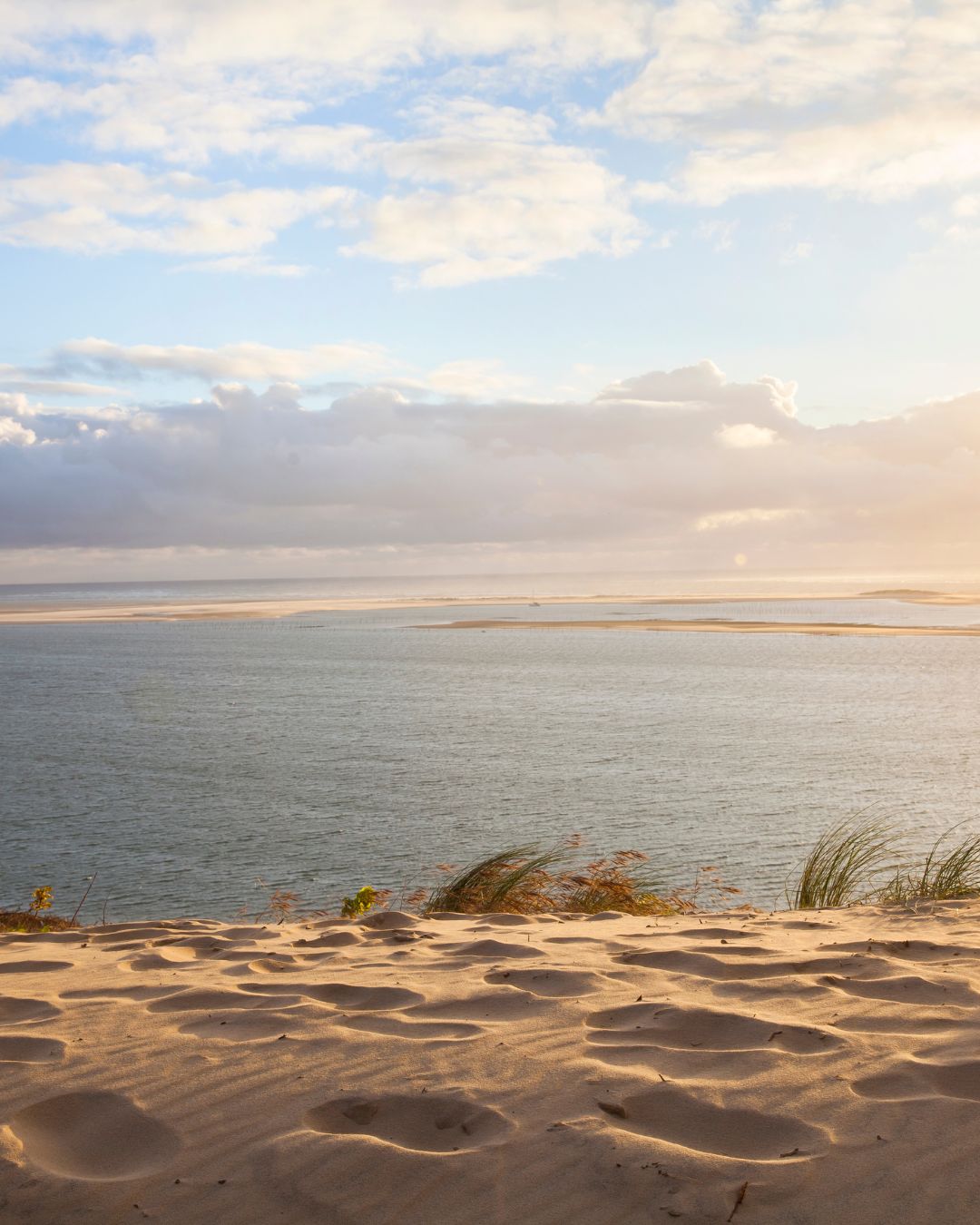 Consultant SEO Arcachon